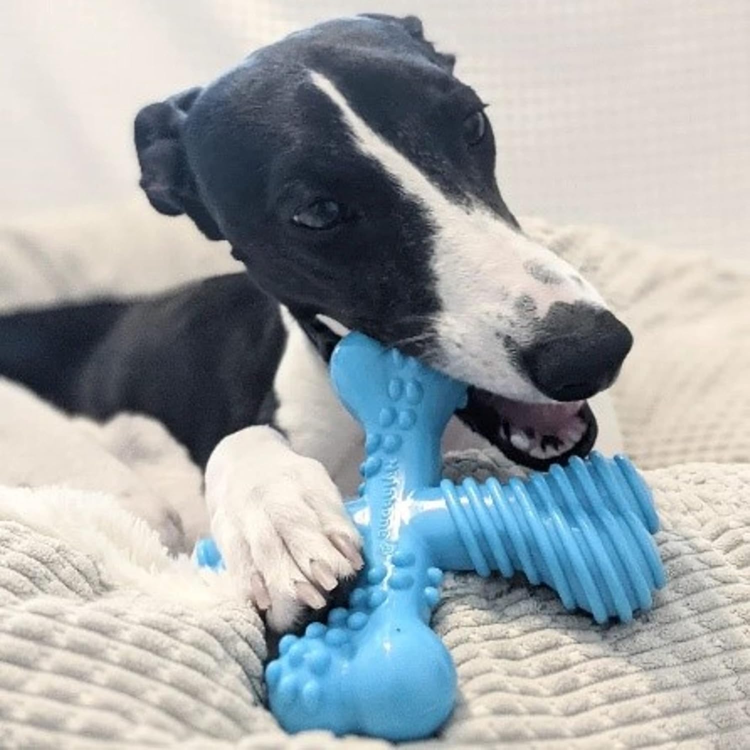 Nylabone Extreme Dog Chew - Large (up to 23kg)