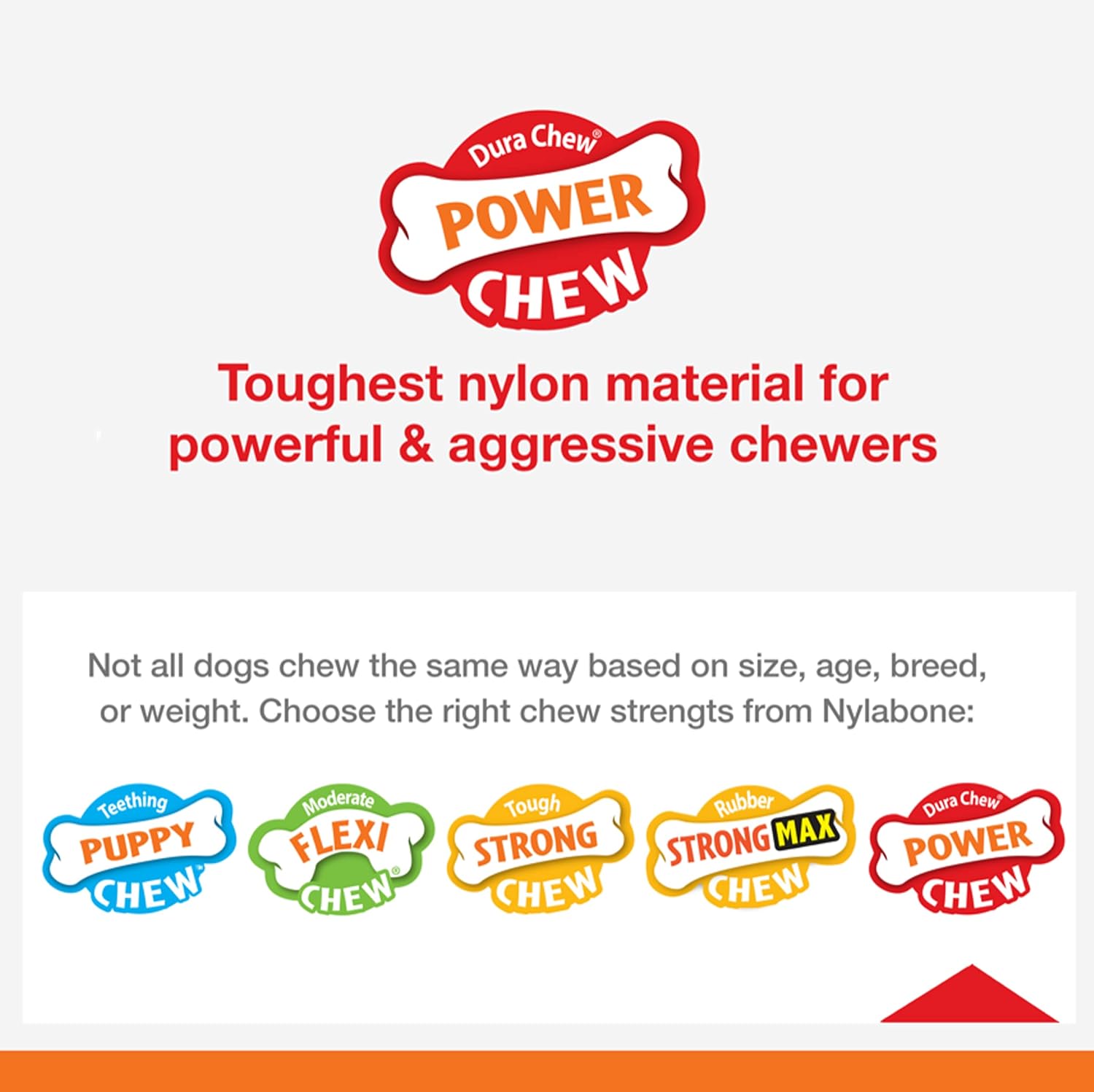 Nylabone Extreme Dog Chew - Large (up to 23kg)