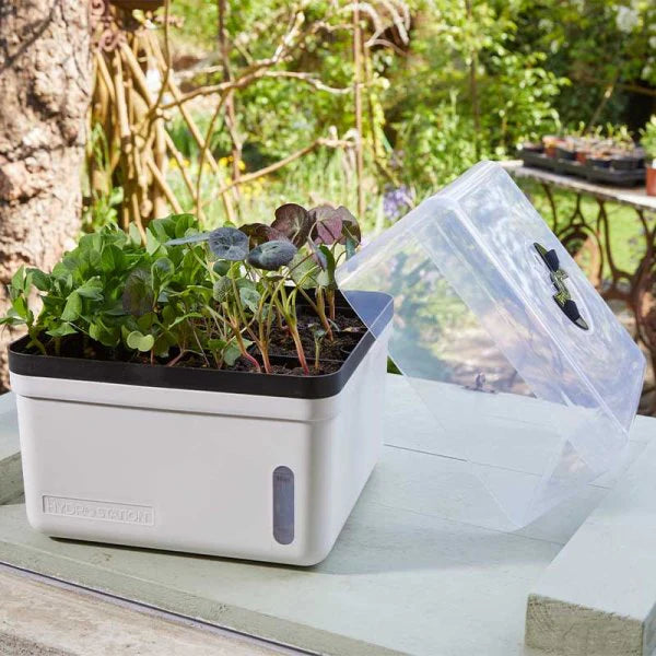 Smart Garden GroZone Perfect Propagator - Self Watering