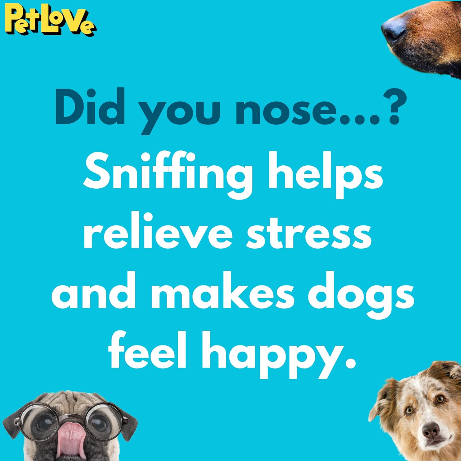 PetLove Nuzzle Puzzle Stick Dog Toy