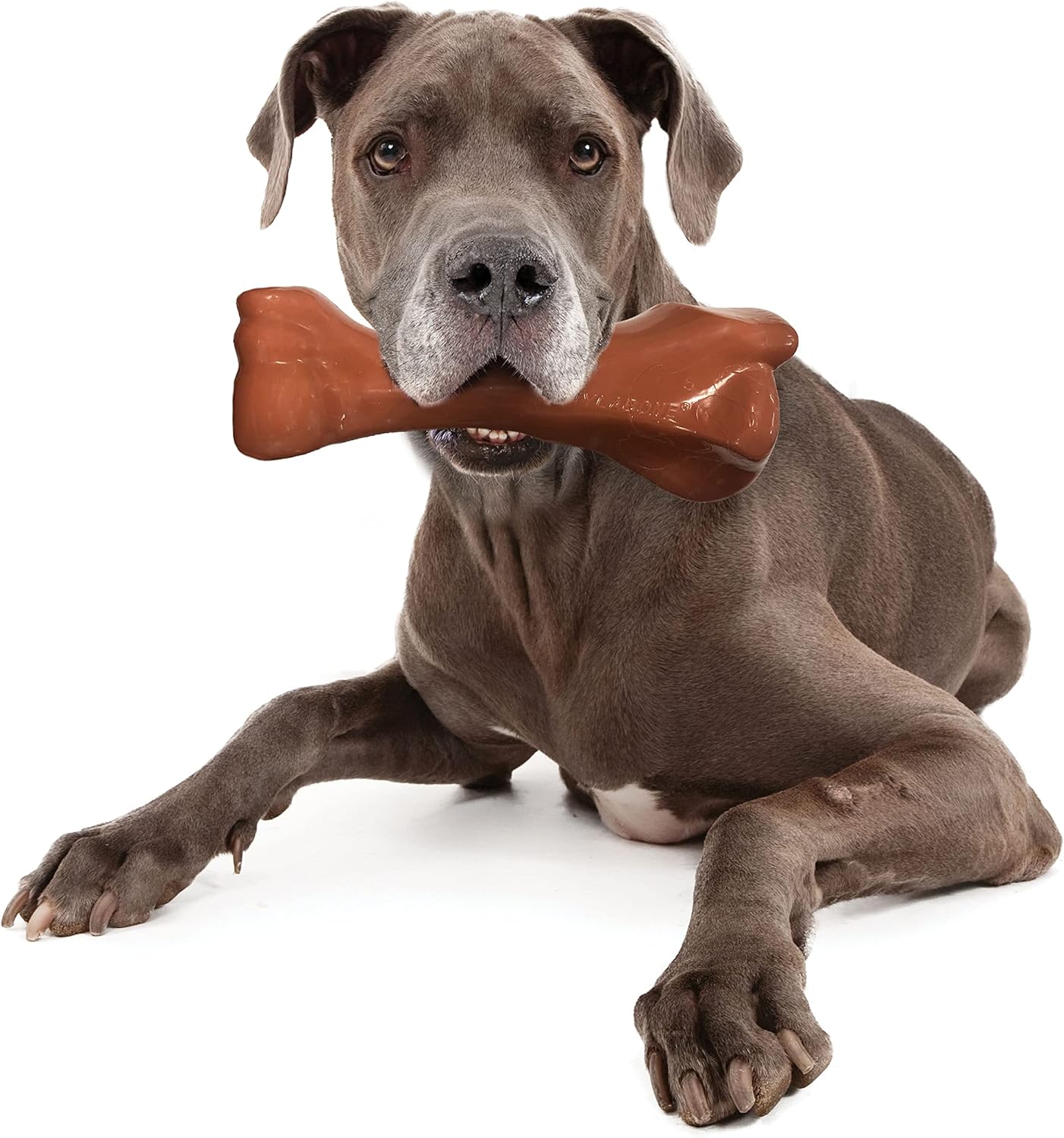 Nylabone Extreme Dog Chew - XX Large 23kg++