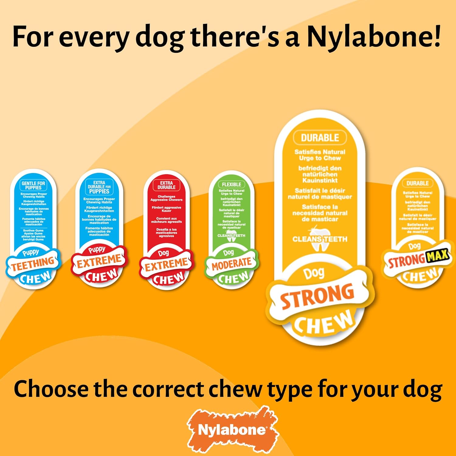 Nylabone Sneaky Snacker Treat Toy Chew - Large (up to 23kg)