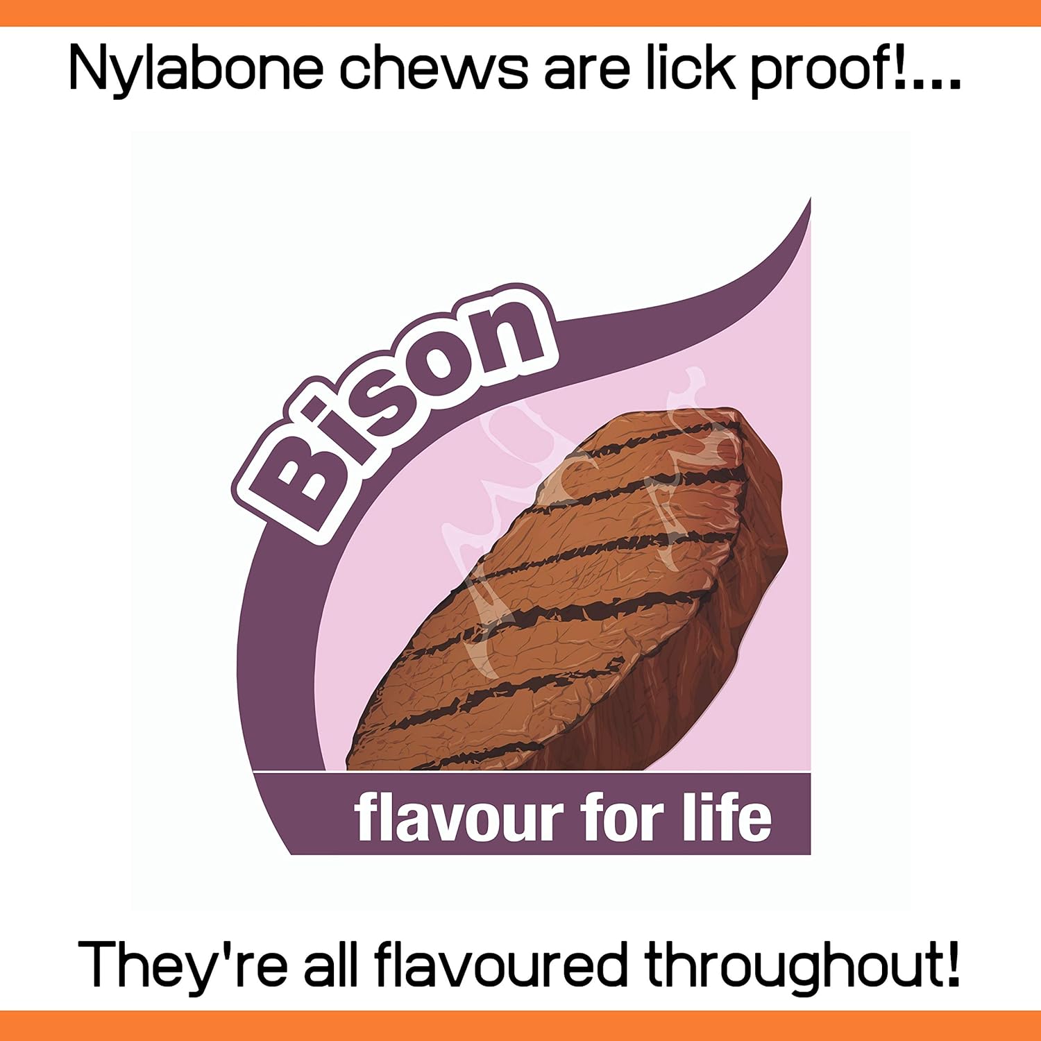 Nylabone Extreme Dog Chew - Large (up to 23kg)