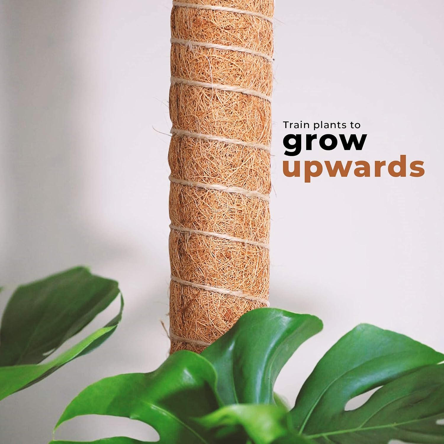 Estive's Moss Poles - pack of 2 with accessories