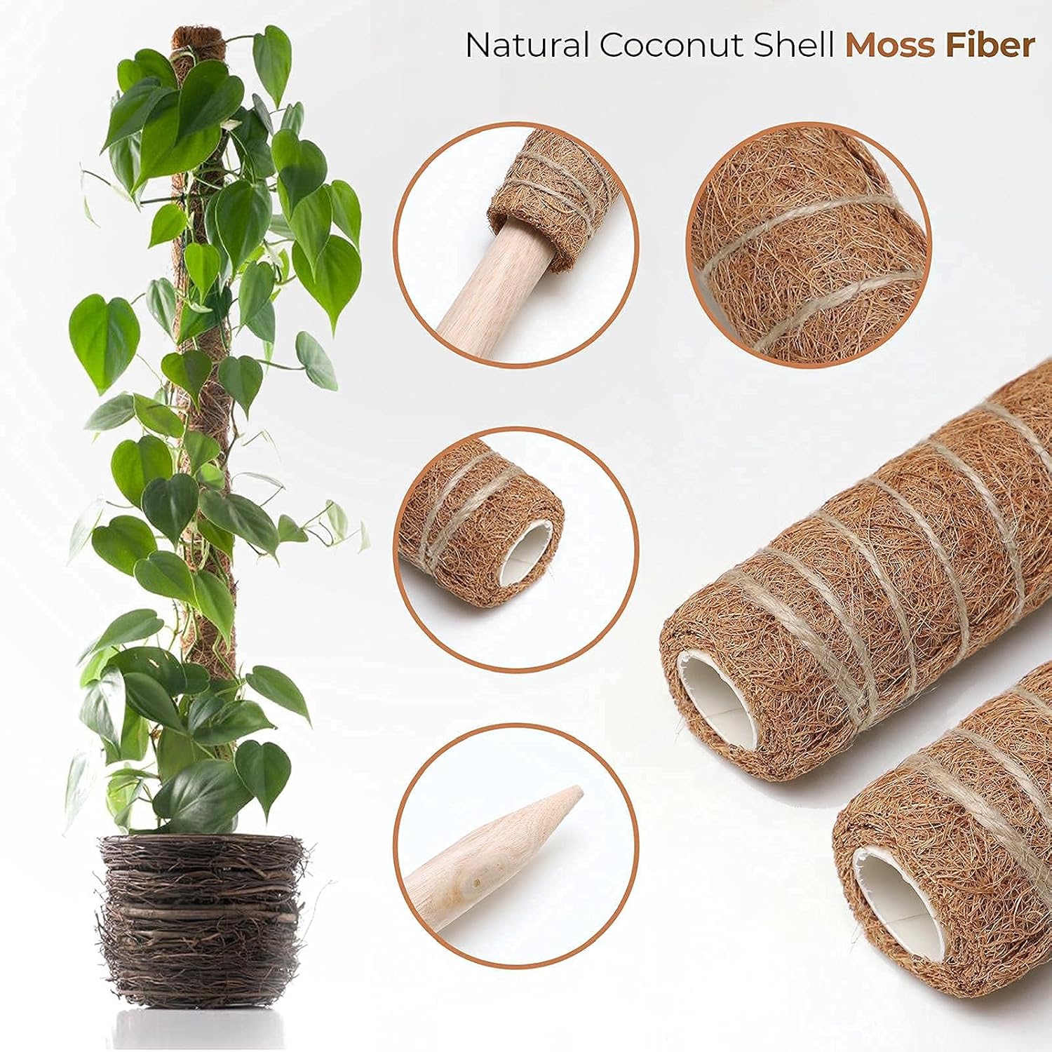 Estive's Moss Poles - pack of 2 with accessories