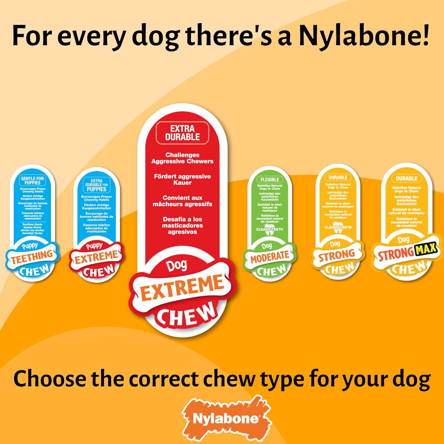 Nylabone Extreme Dog Chew - Large (up to 23kg)