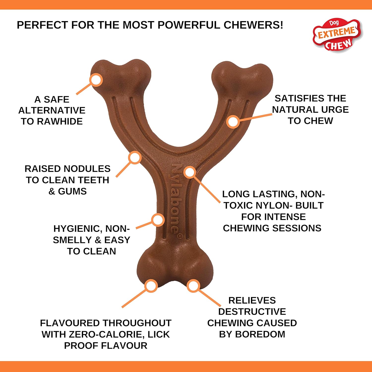 Nylabone Extreme Dog Chew - Large (up to 23kg)