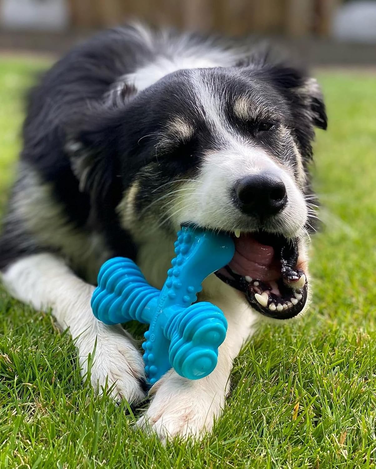 Nylabone Extreme Dog Chew - Large (up to 23kg)