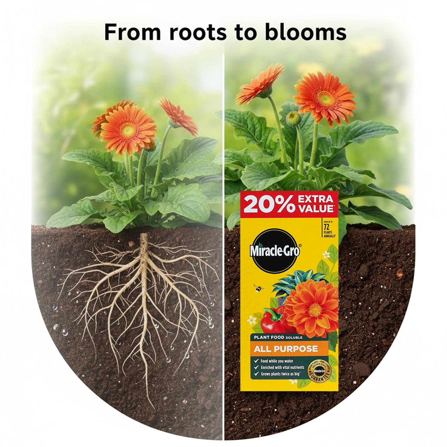 Miracle Gro All Purpose Plant Food + 20 % Free 1.2Kg
