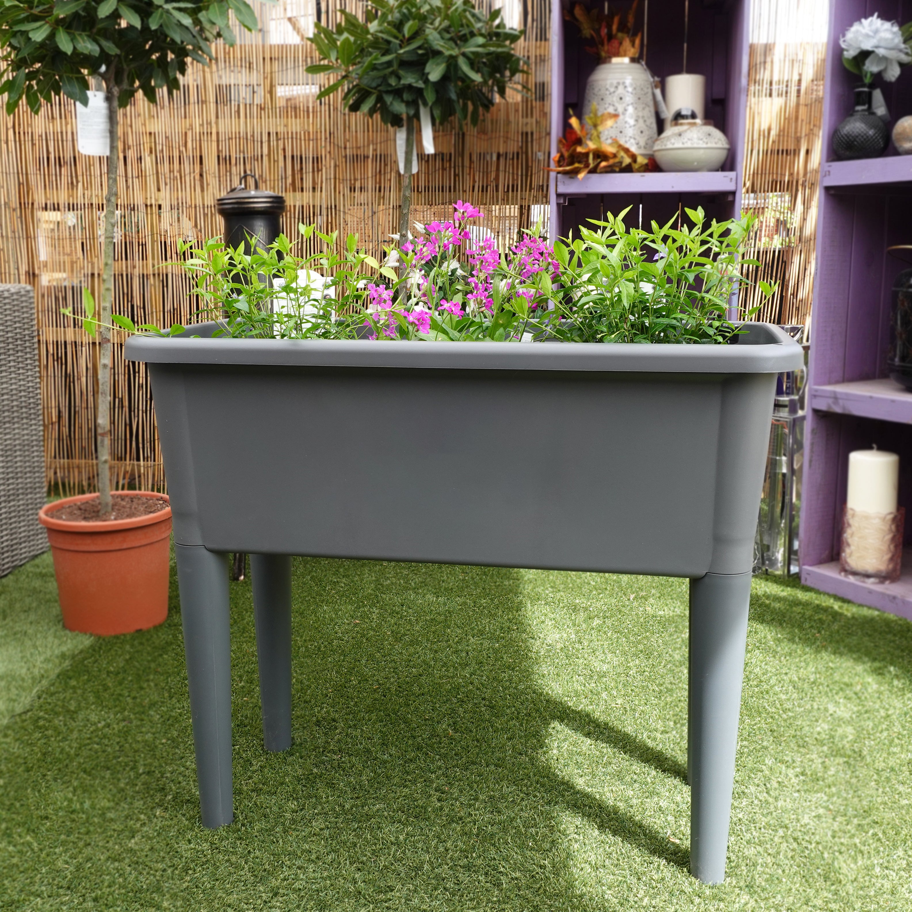Charles Rose Raised Propagation Planter with Ventilated Lid - Grey