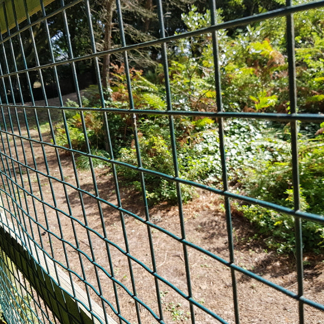 Charles Rose PVC Coated Galvanised Wire Fence Welded 16 Gauge Mesh 1" x 1" - Various Roll Sizes
