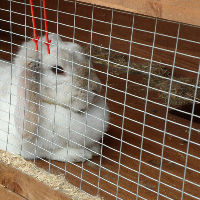 Charles Rose Cage & Aviary Galvanised Wire Fence Welded 19 Gauge Mesh 1/2" x 1" 0.9 x 20m Roll