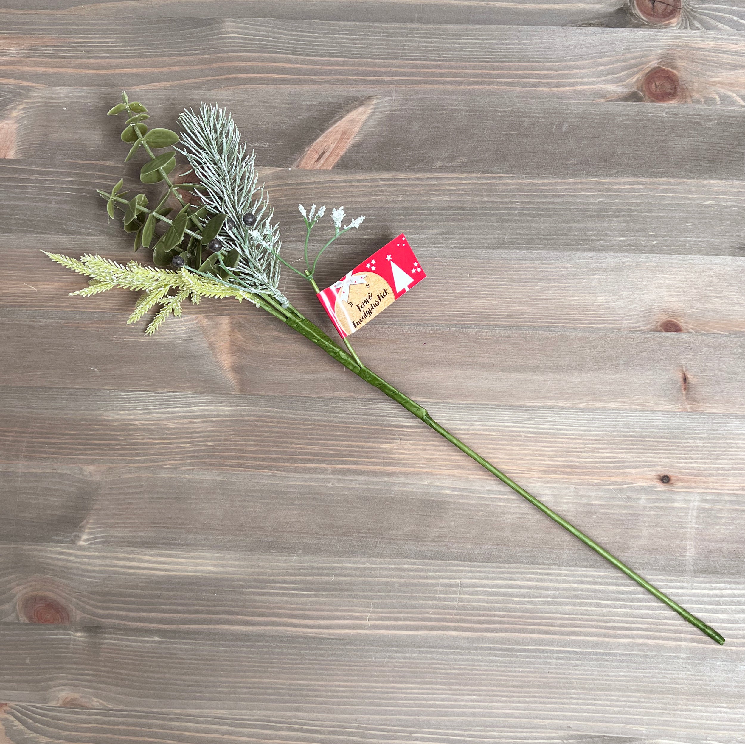 Fern and Eucalyptus Pick