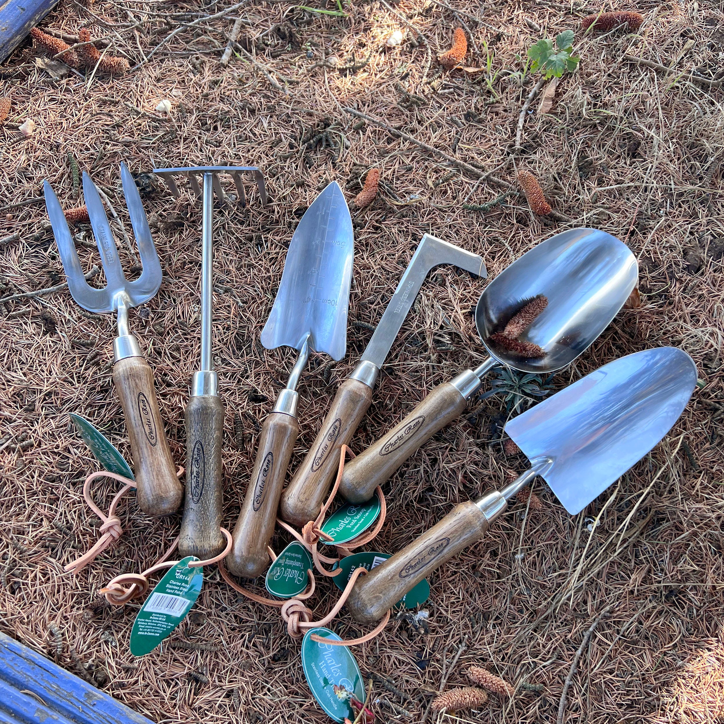Charles Rose  Stainless Steel Border Fork