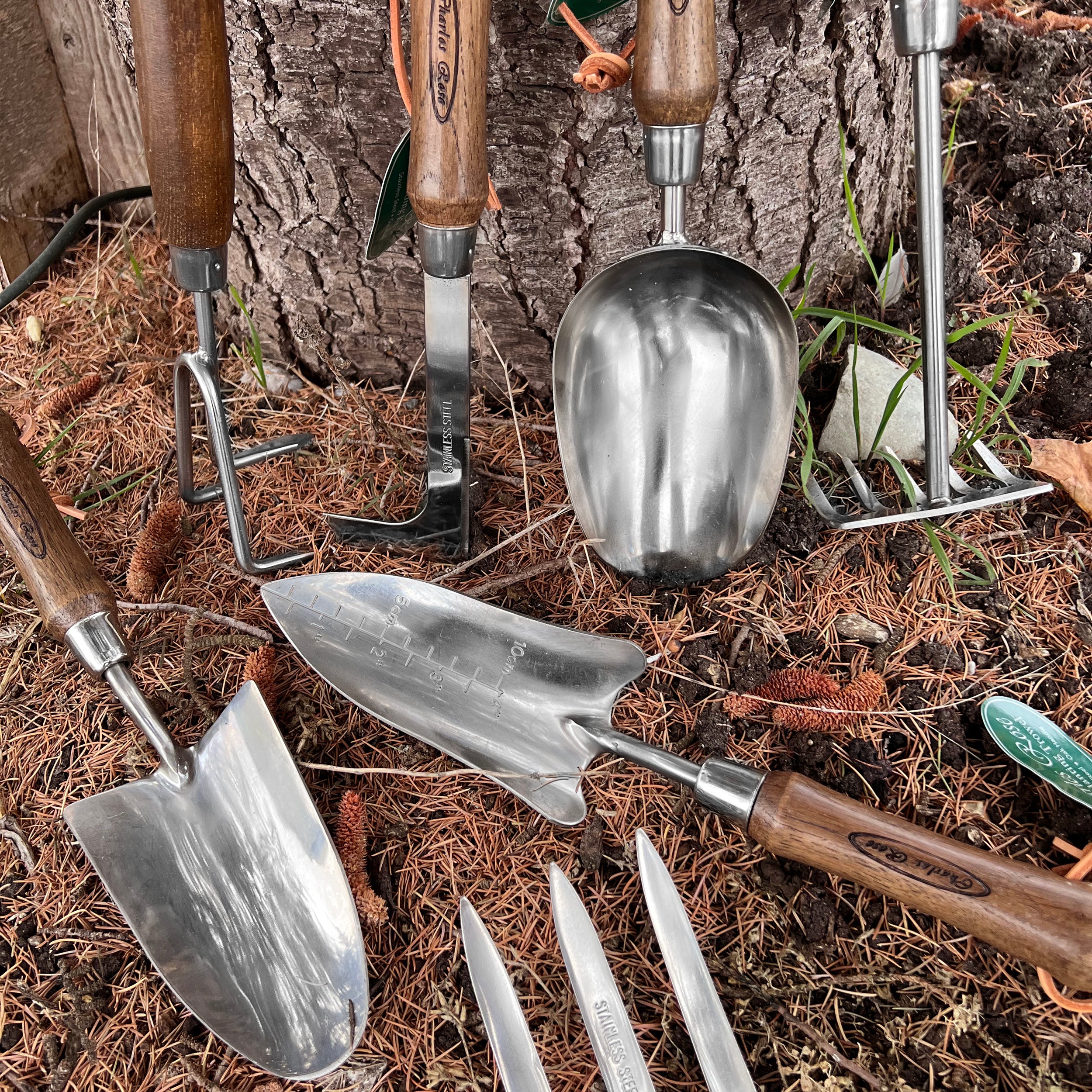 Charles Rose Stainless Steel Long Handled Hand Fork - Ash Handle