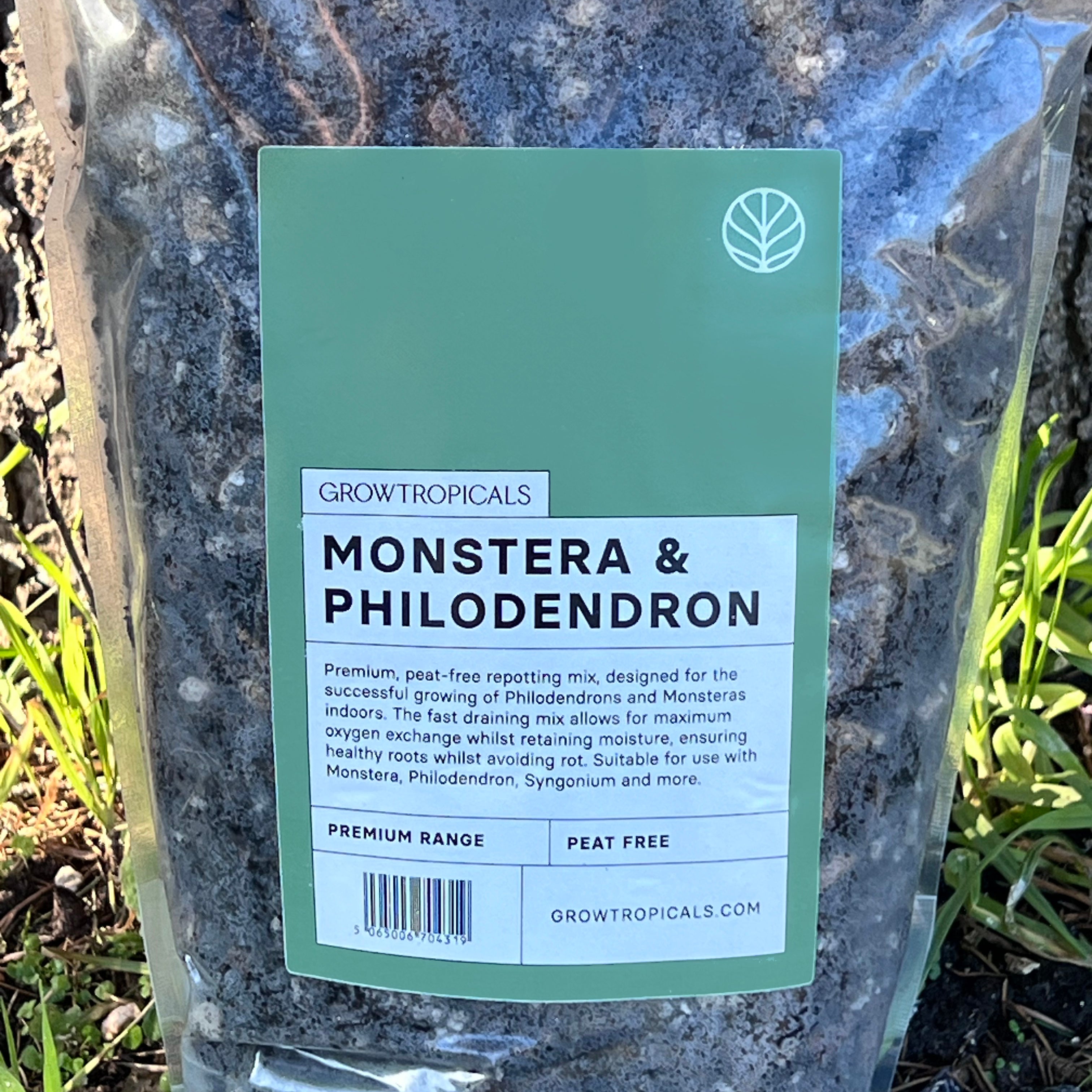 GrowTropicals Philodendron Mix various sizes