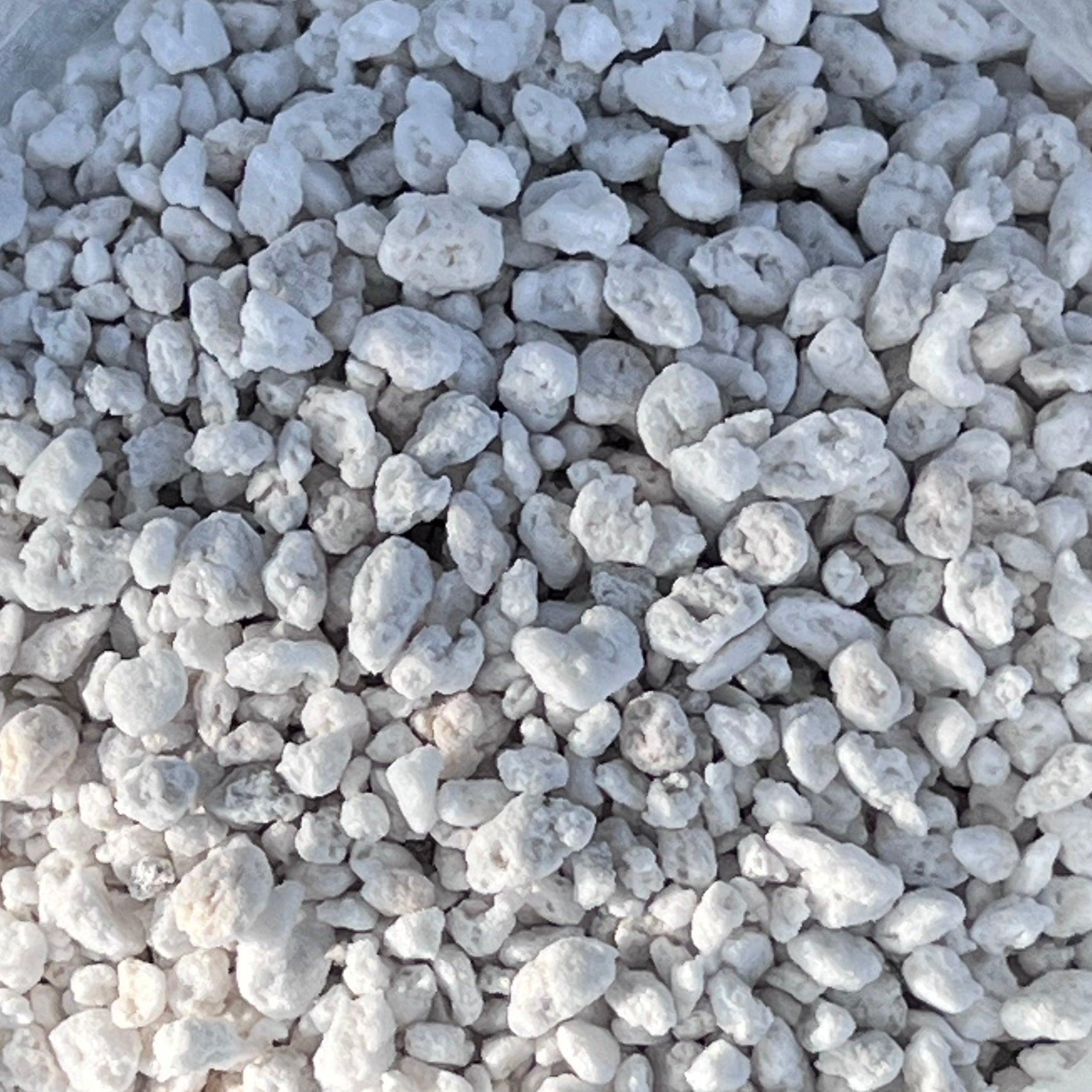GrowTropical Perlite (Coarse) 2.5L