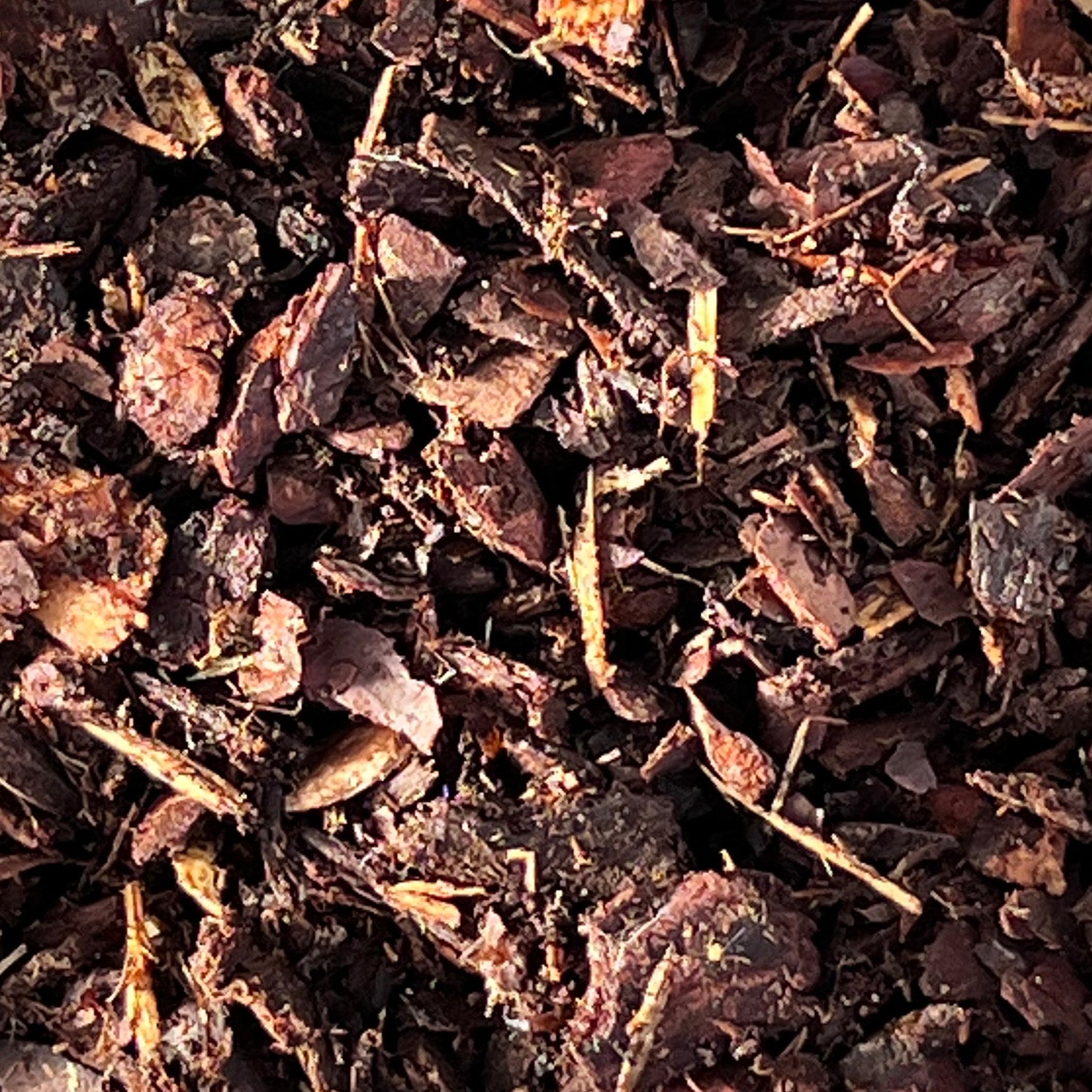 GrowTropicals Medium Orchid Bark various sizes