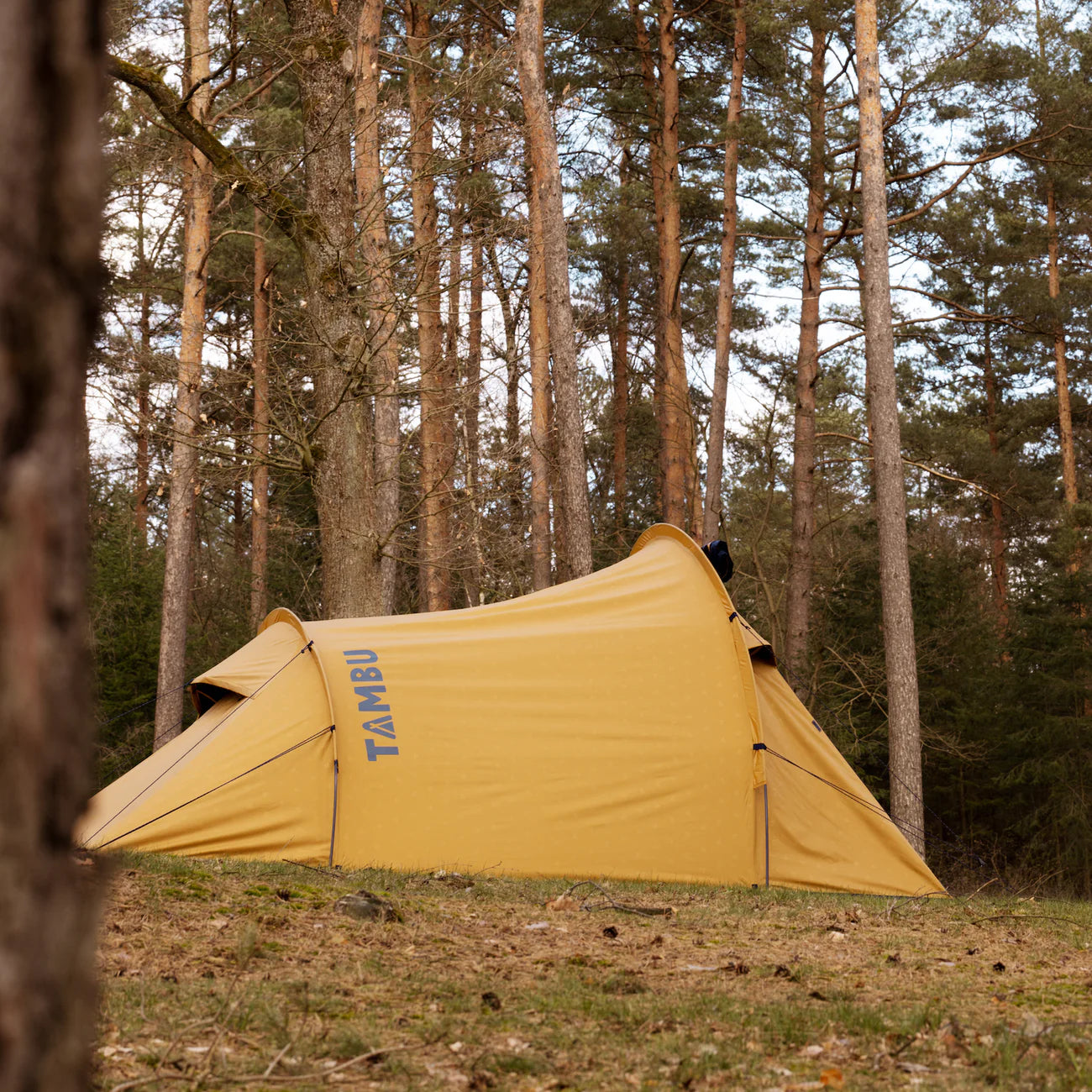 Tambu Kalo 3 - 3 Person Black Sky Tunnel Tent