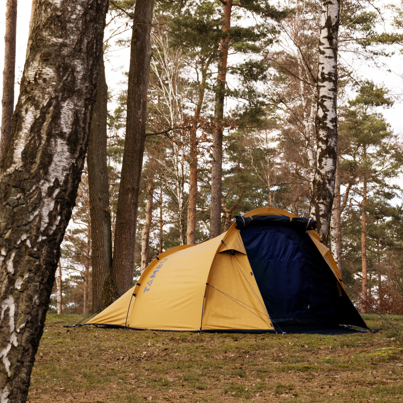 Tambu Kalo 3 - 3 Person Black Sky Tunnel Tent