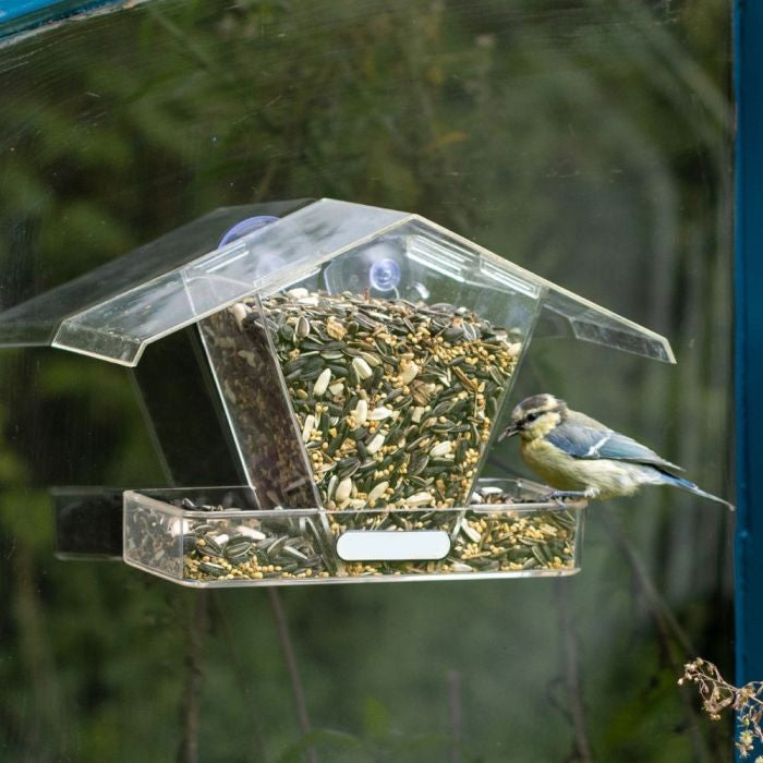 Crete Window Seed Feeder