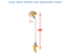 Hozelock 2697 Telescopic Lance Spray Plus 90