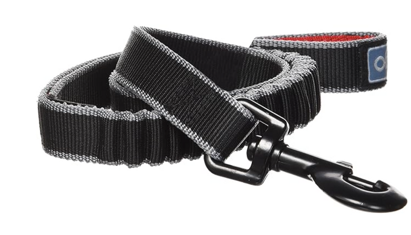 Kurgo Springback Lite Dog Leash - 30" Running Lead