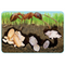Insect Lore - Ant Lifecycle Floor Puzzle