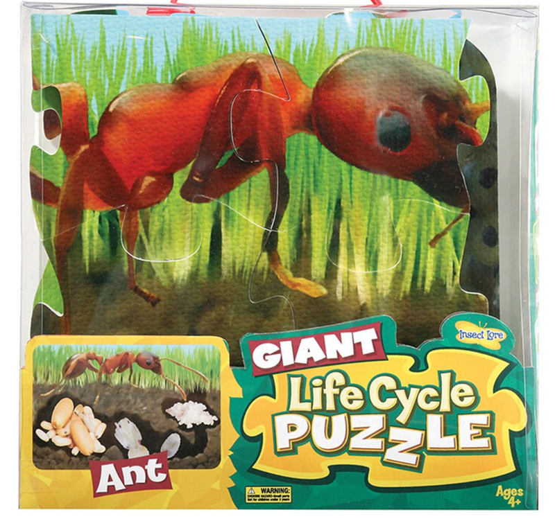 Insect Lore - Ant Lifecycle Floor Puzzle