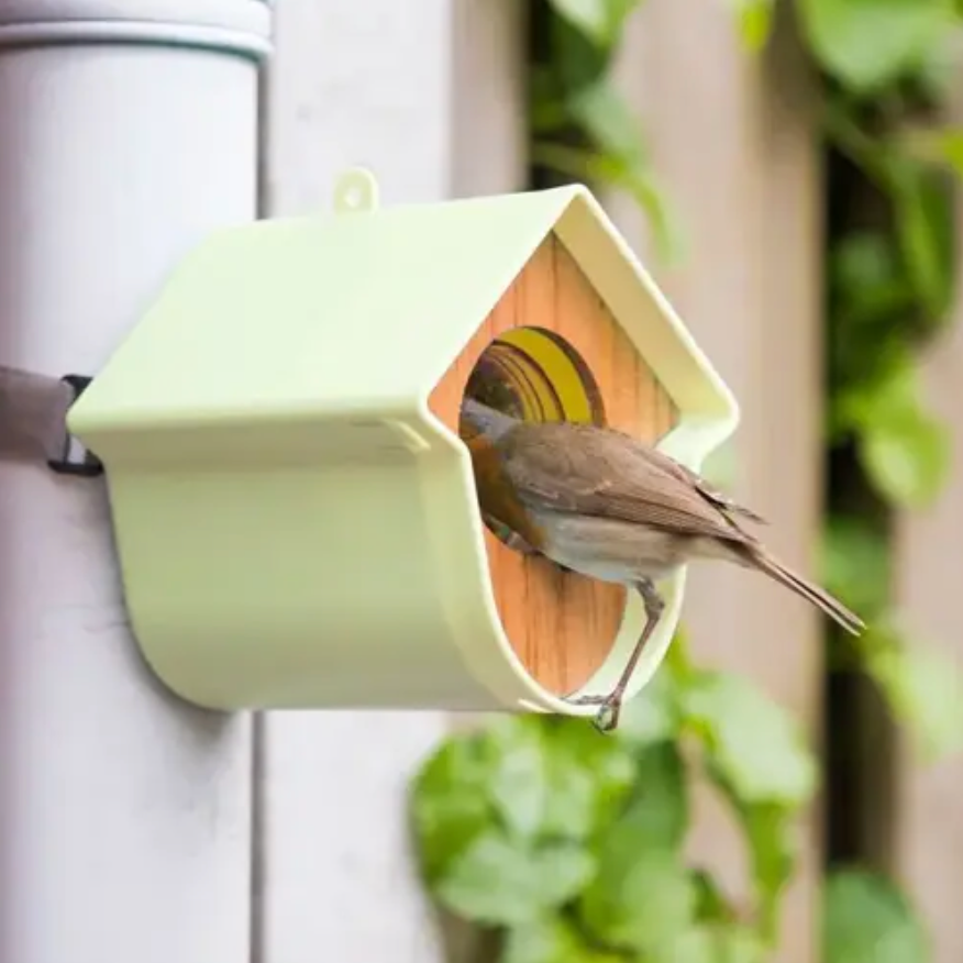 Evie Peanut Butter Feeder for Birds