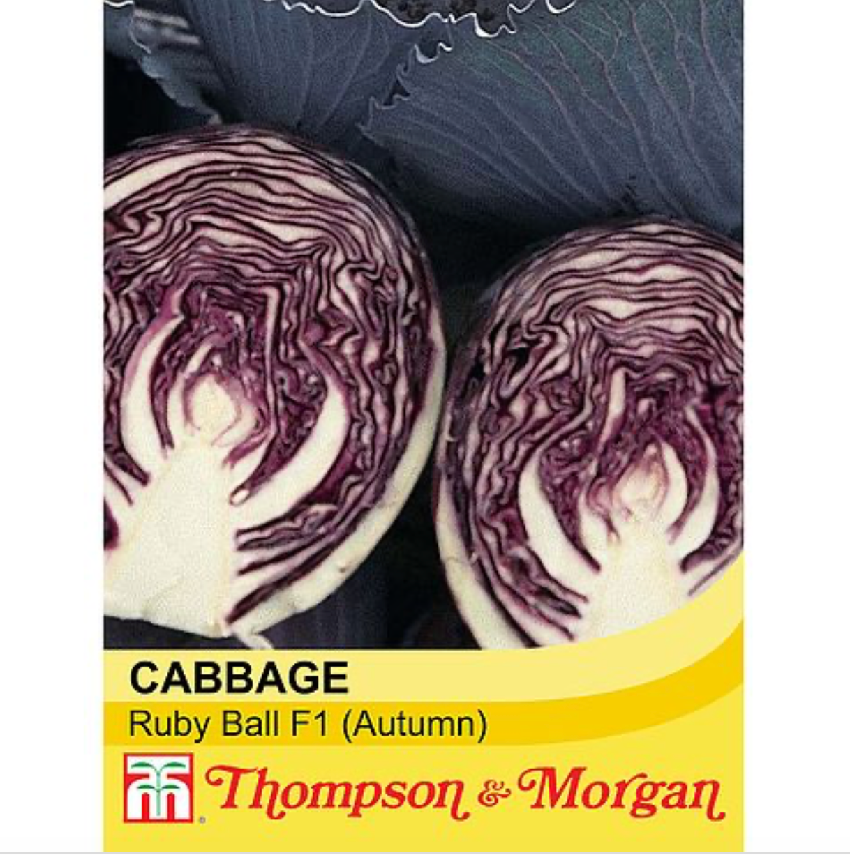Thompson & Morgan Red Cabbage Seeds