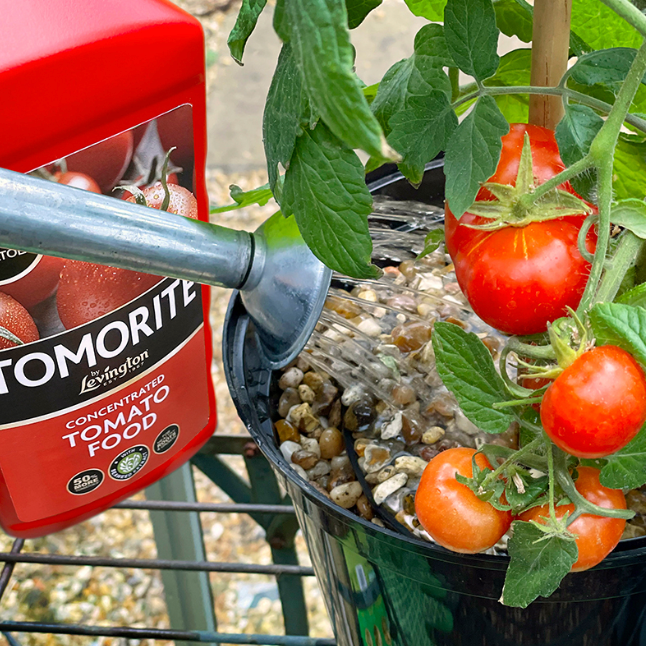 Tomorite Liquid Tomato Feed Concentrate - 500ml