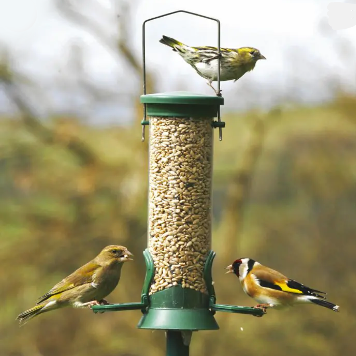 National Trust Seed Plastic Bird Feeder