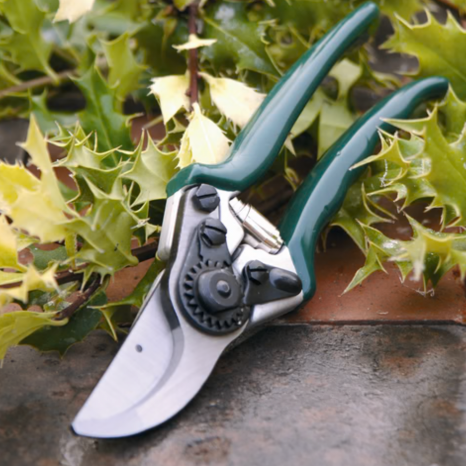 Burgon & Ball Bypass Secateur - RHS Endorsed