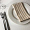 Cote-de-Amor Cotton Striped Dinner Napkins 45 x 45cm - Set of 12