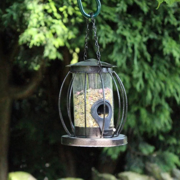 Mini Seed Lantern Feeder