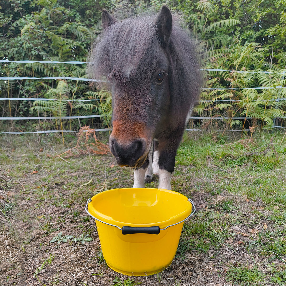 Red Gorilla Tough Shallow Animal Feed Bucket Yellow 10 litre