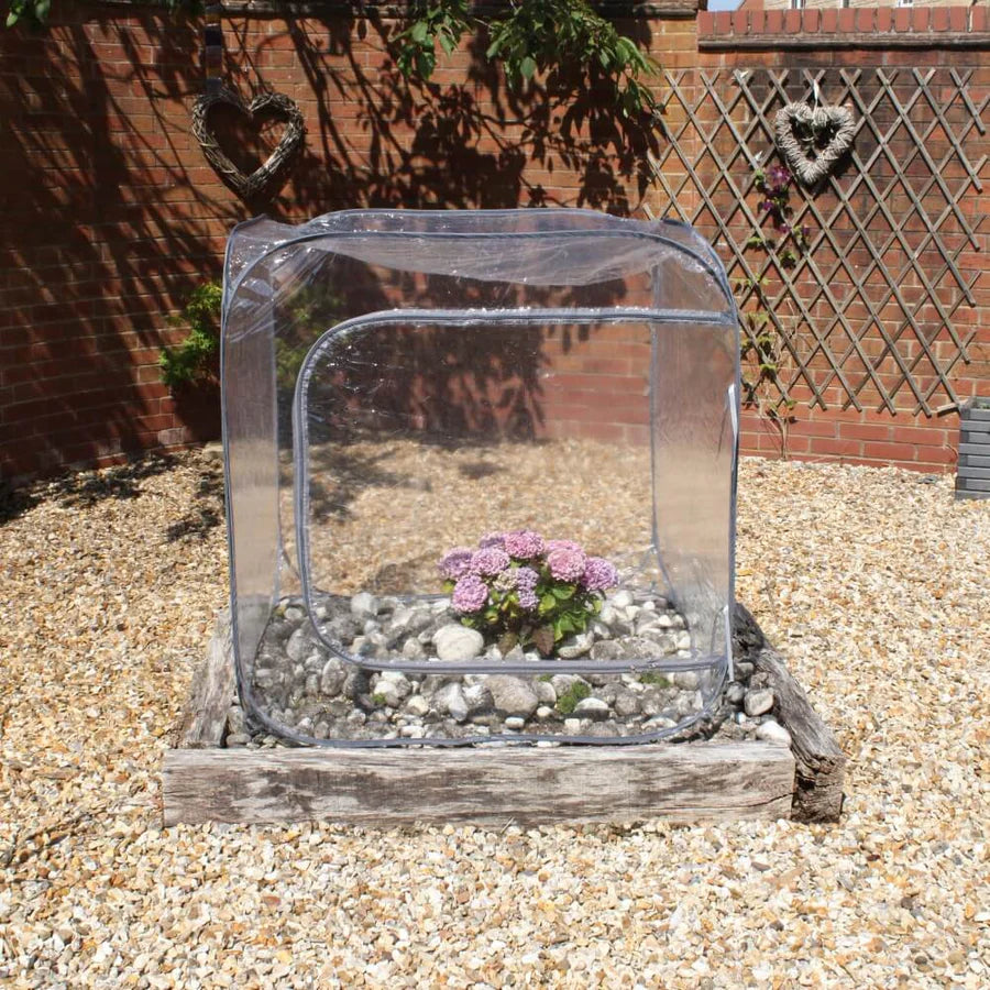 Portable Mini Greenhouse Cloche Cube Which Pops Up