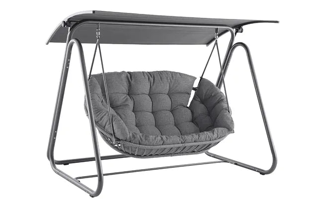 Twin Swinging Chair