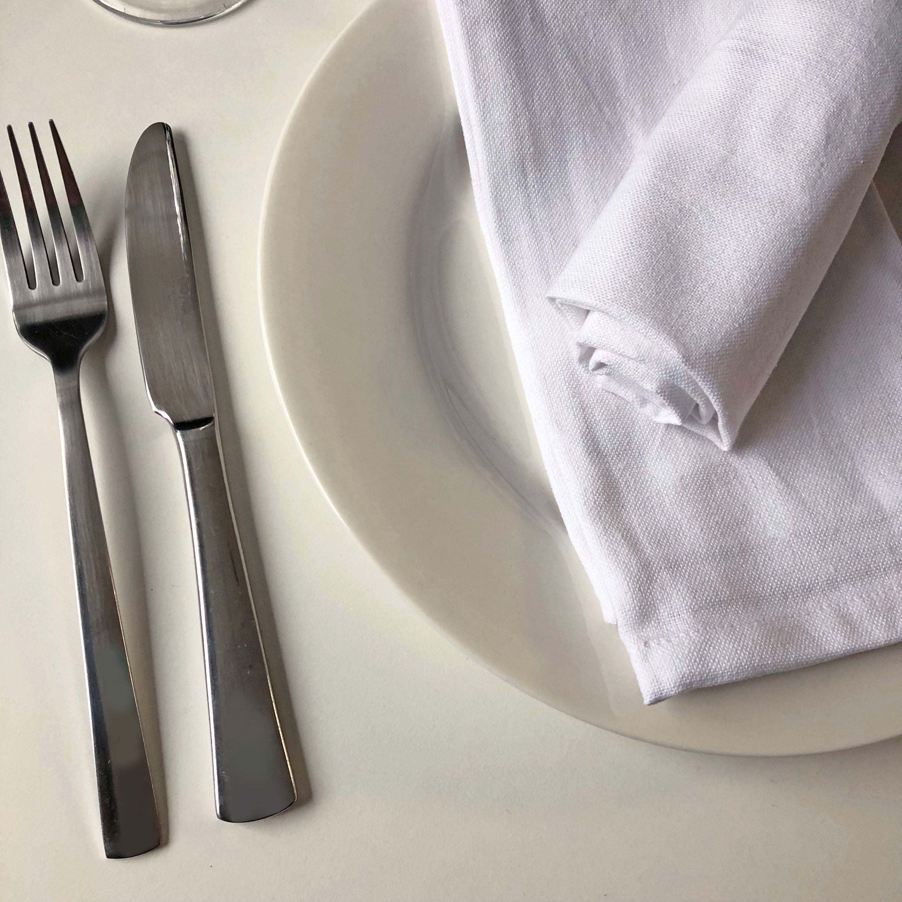 Oversized Cotton Dinner Napkins 20" x 20" - Set of 12