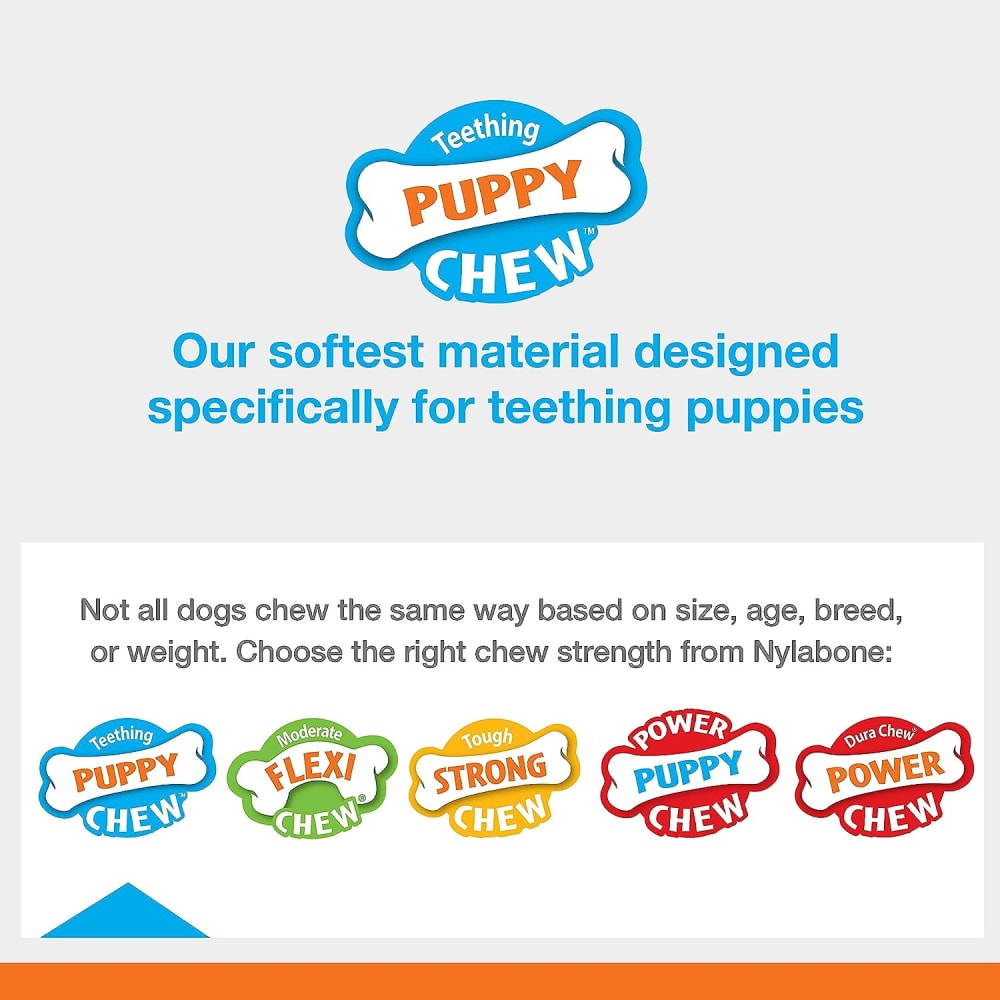 Nylabone Puppy Teething Keys Chew