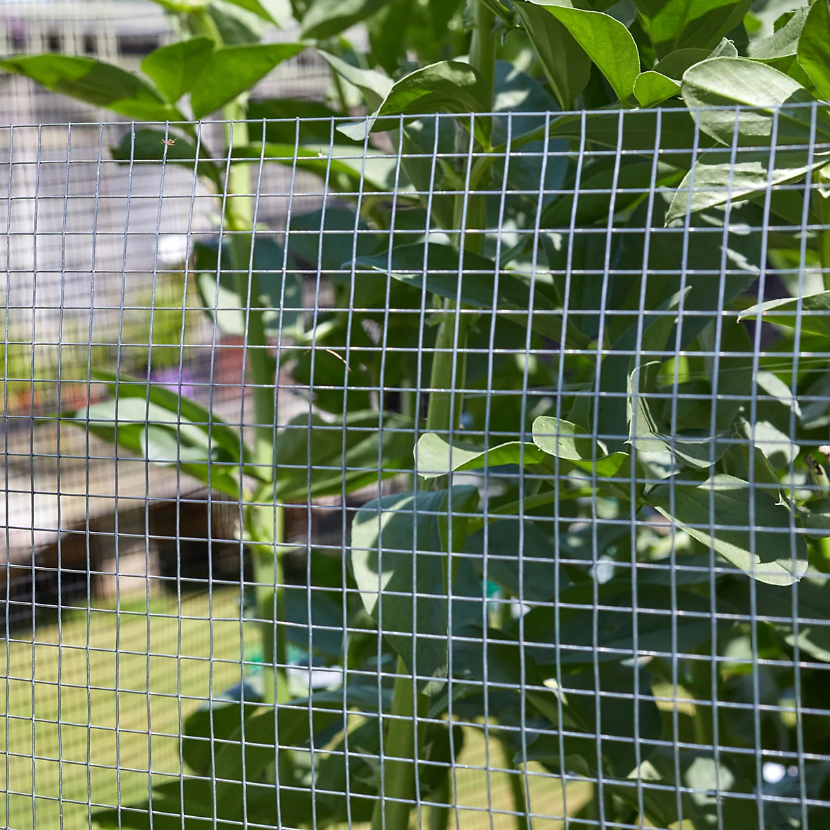 Galvanised Square Wire Netting 13mm x 1m x  20 Metre