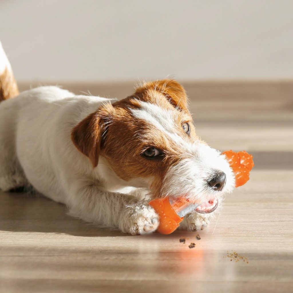 Nylabone Bone Sneaky Snacker Treat Toy 0-16kg