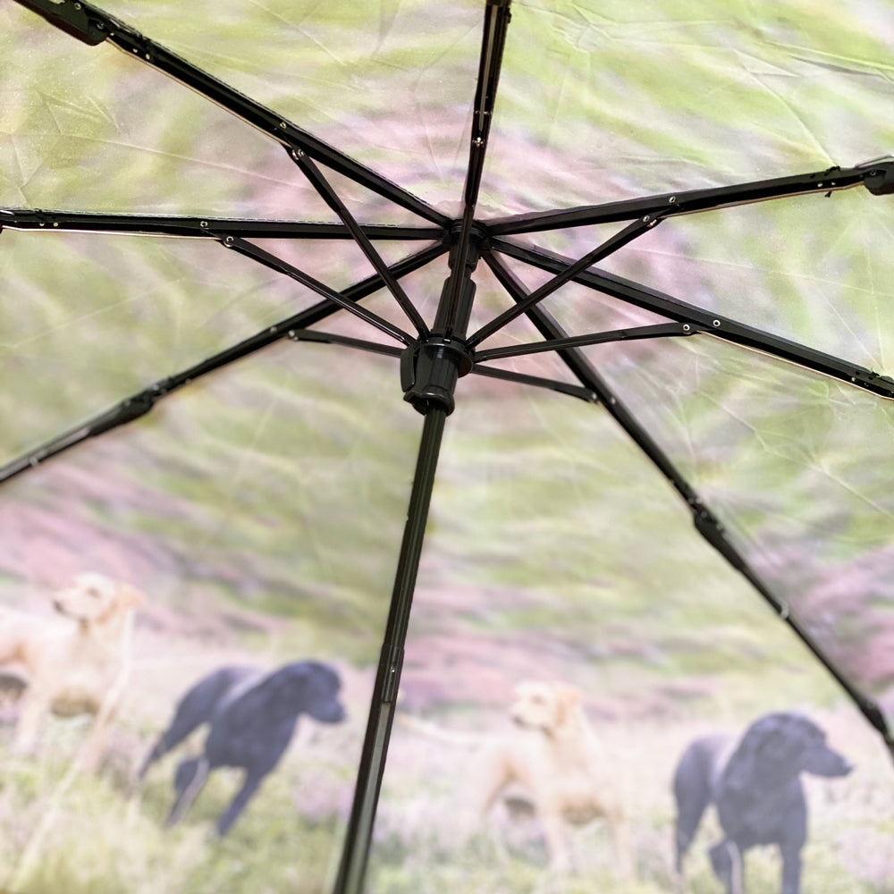 Country Matters Telescopic and Folding Umbrella - 'Two Labradors'