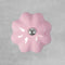 Ceramic Cupboard Door / Drawer Knobs - 45mm Width
