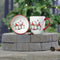 Christmas Gnome Mugs and Nibbles Bowl