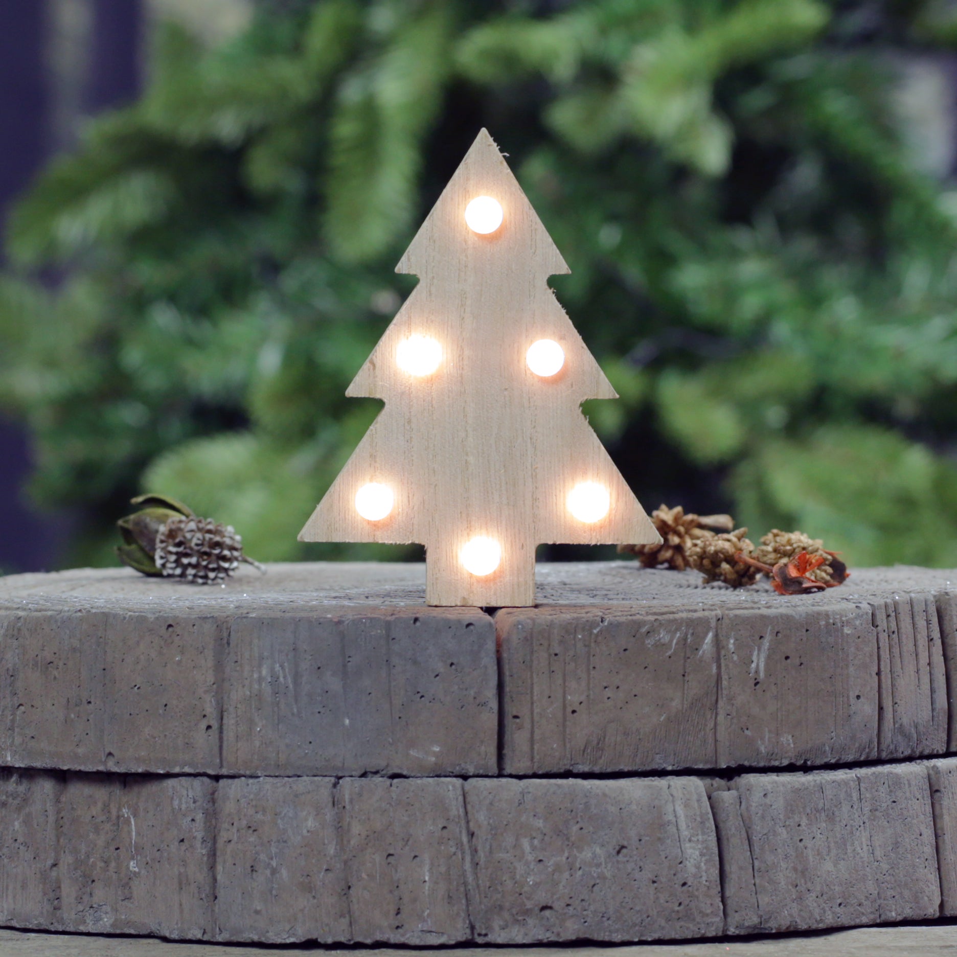 Wooden Light Up Decorations - Set of 4