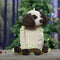 2 in 1 Harness Buddy - Puppy