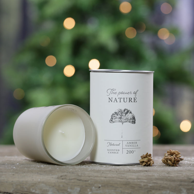 Luxury Power of Nature Scented Candle in Glass - 200g - Amber Vanilla