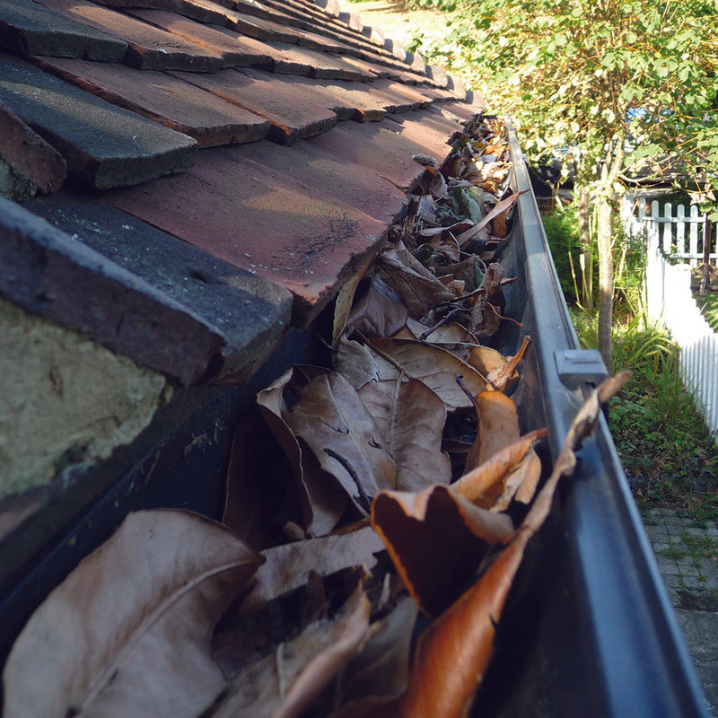 Hedgehog Gutter Brush Gutter Guard - 100mm x 4m